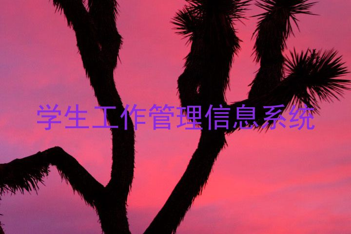 教育部:提高校外培训质量 满足多元化文化教育需求